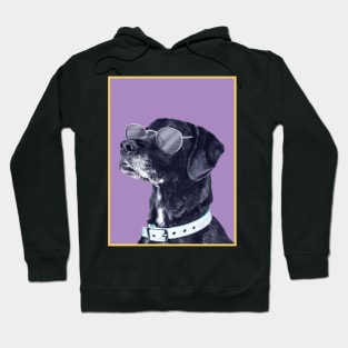 Sup Dawg Hoodie